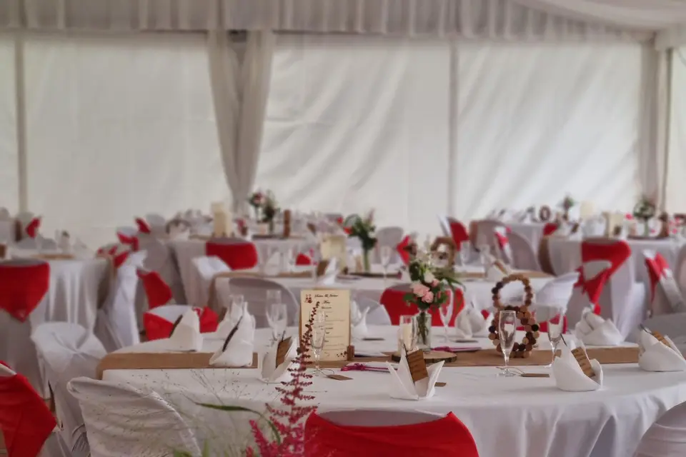 Hellébore — photo 2