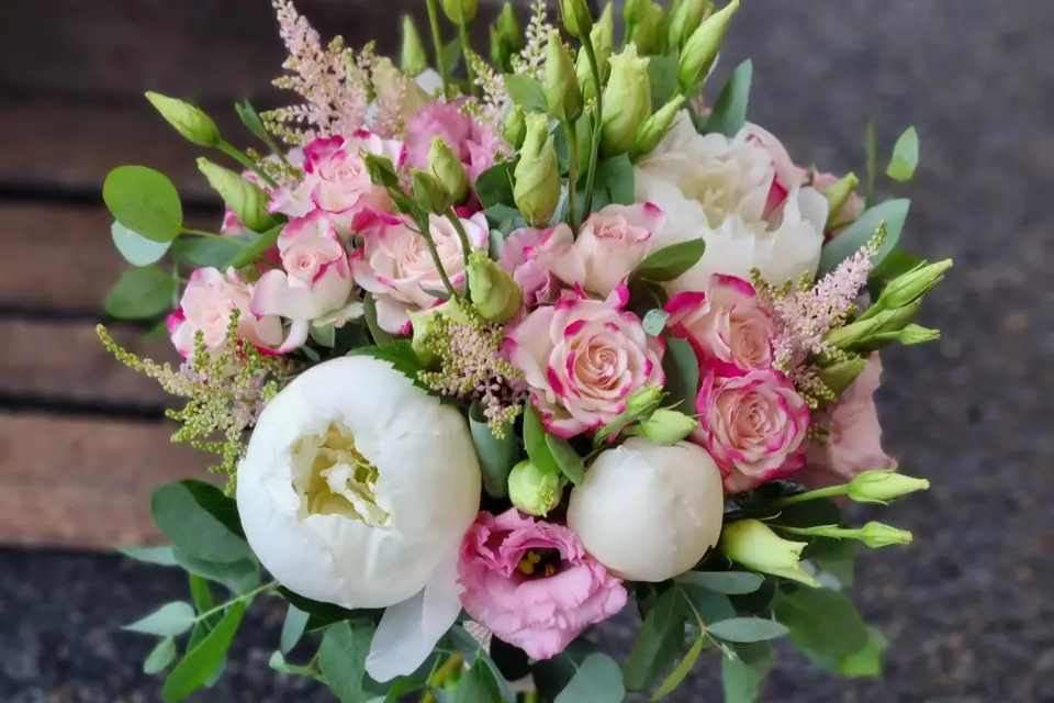 Hellébore — photo 4