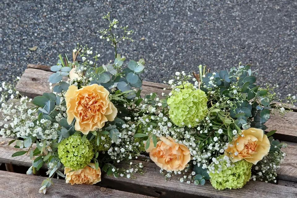 Hellébore — photo 1