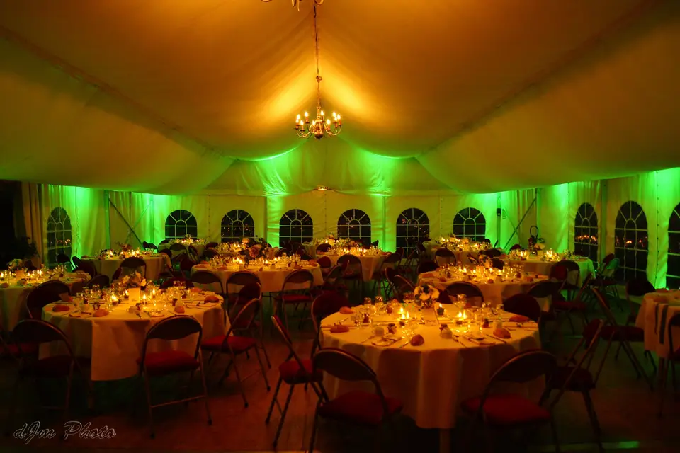 DJM Prestige Animation — photo 3