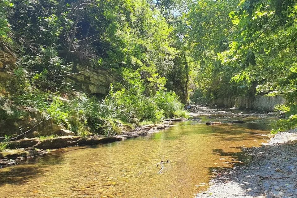 L'Ange au Violon — photo 6