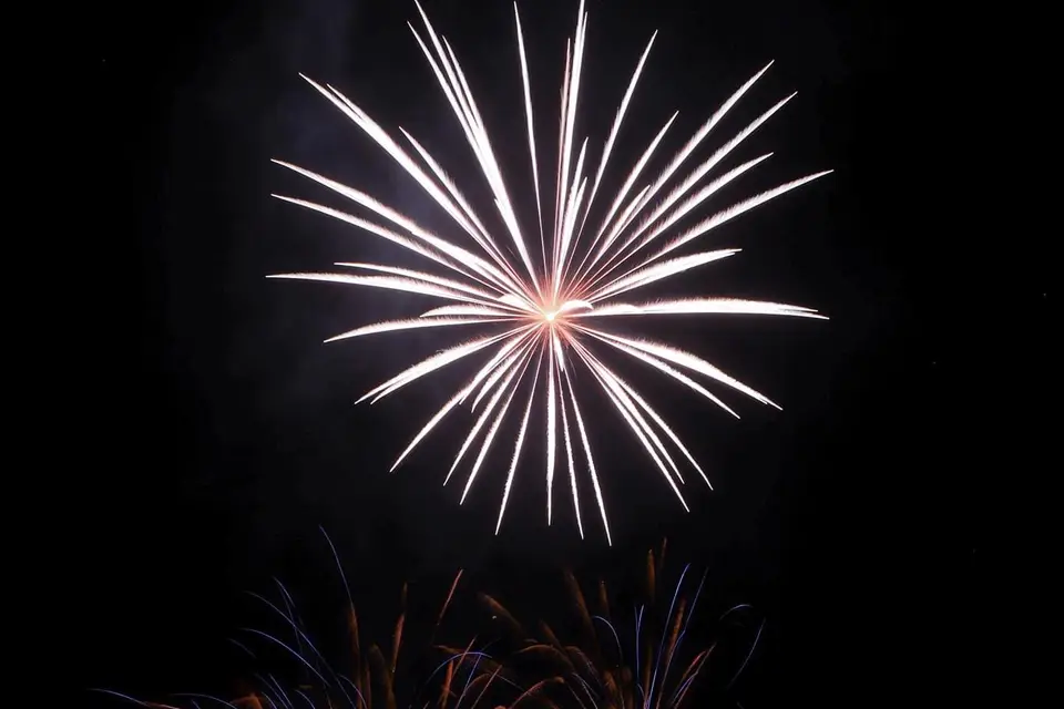 Wagnon Artifices — photo 4