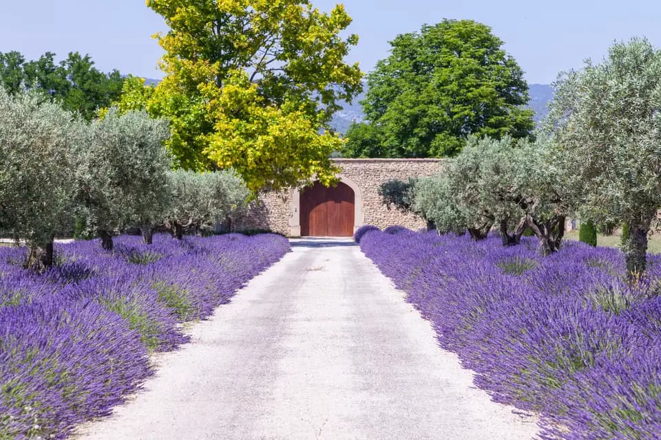 La Voyagiste Paris — photo 6