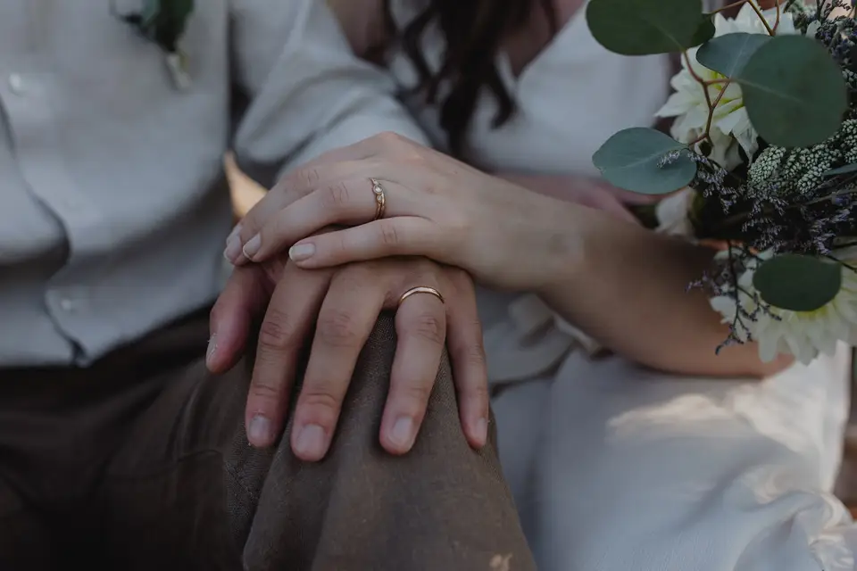 Camellia — photo 3