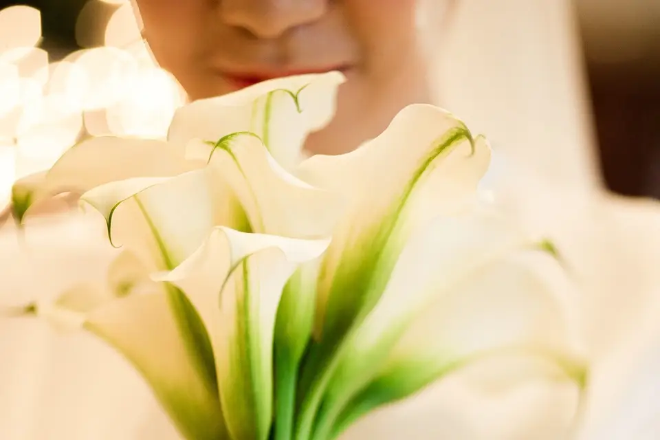 NässPlace — photo 6