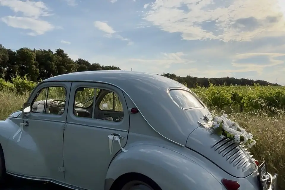 Greg Marseille — photo 2