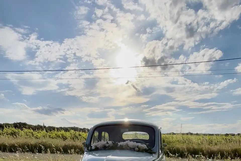 Greg Marseille — photo 3