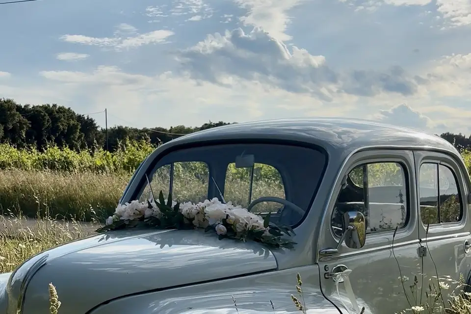 Greg Marseille — photo 4