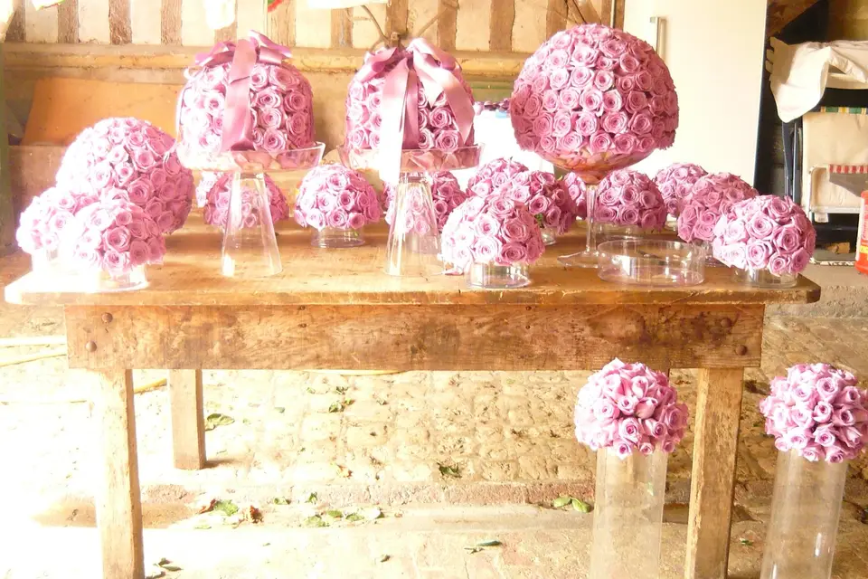 Marjolaine Bougrier Vaucelles — photo 3