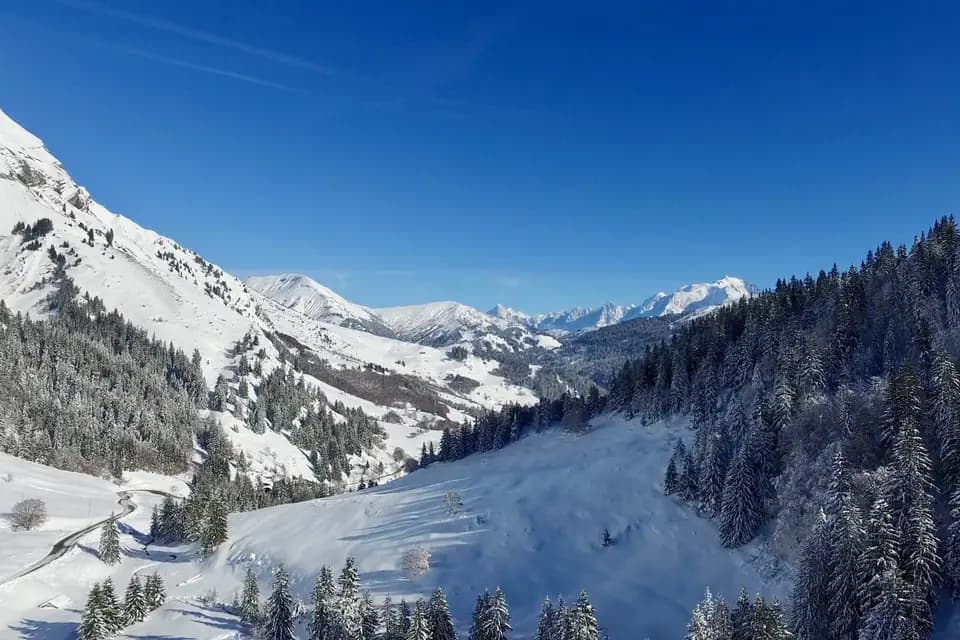 Les Rhodos — photo 4