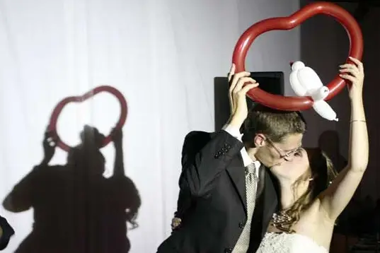 Animagie — photo 2