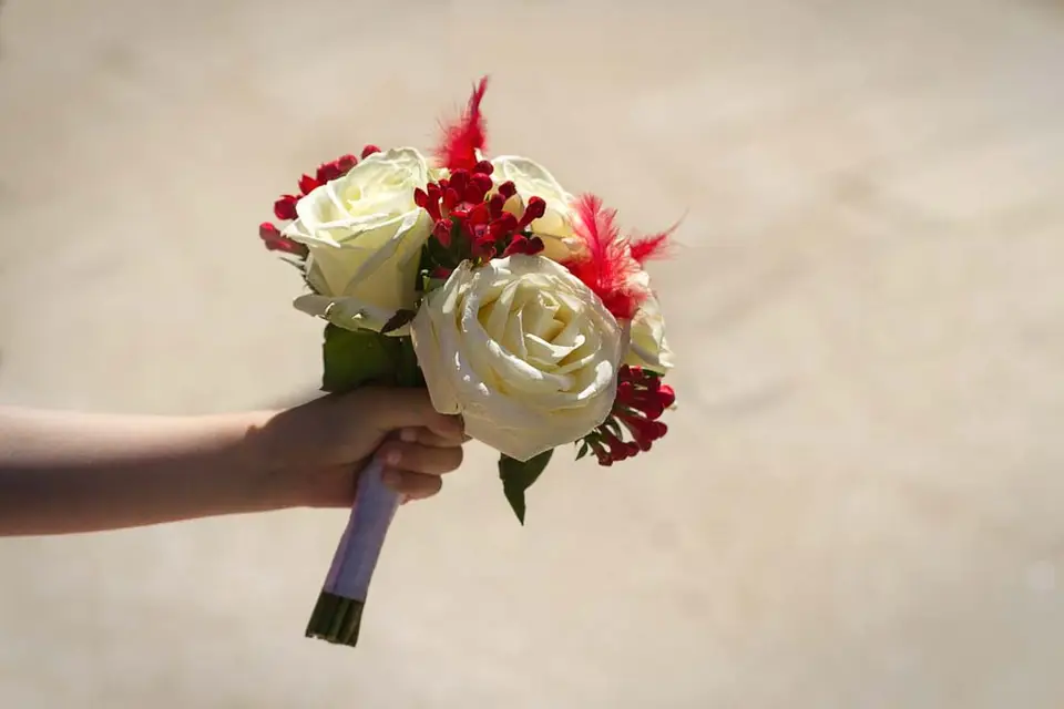 Tanguy Rommens Photographie — photo 2