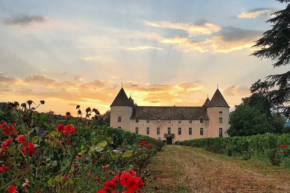 Château de Savigny-les-Beaune — photo 6