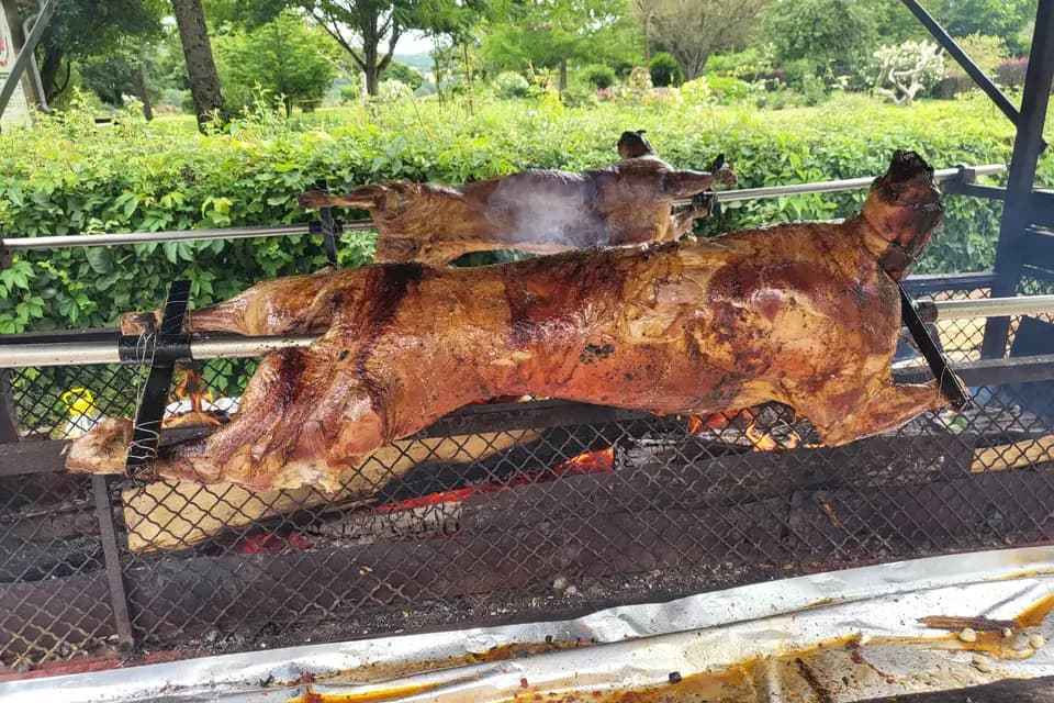 Au Bon Vivant — photo 4