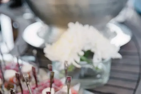 Château de Saulon — photo 8