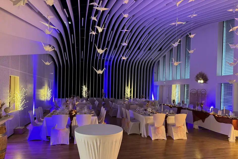 Move Event Dj Animation — photo 3