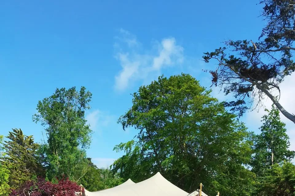 Festiflex — photo 2