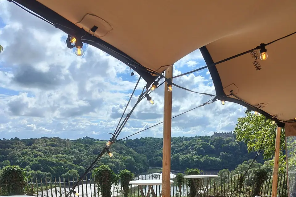 Festiflex — photo 6