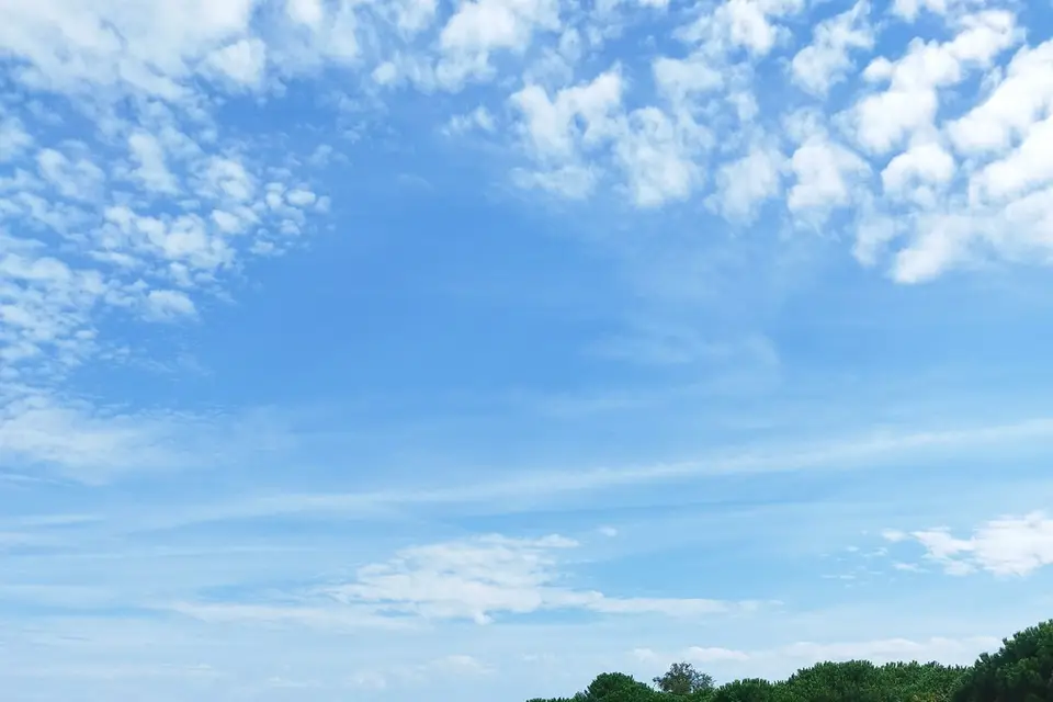 Festiflex — photo 5