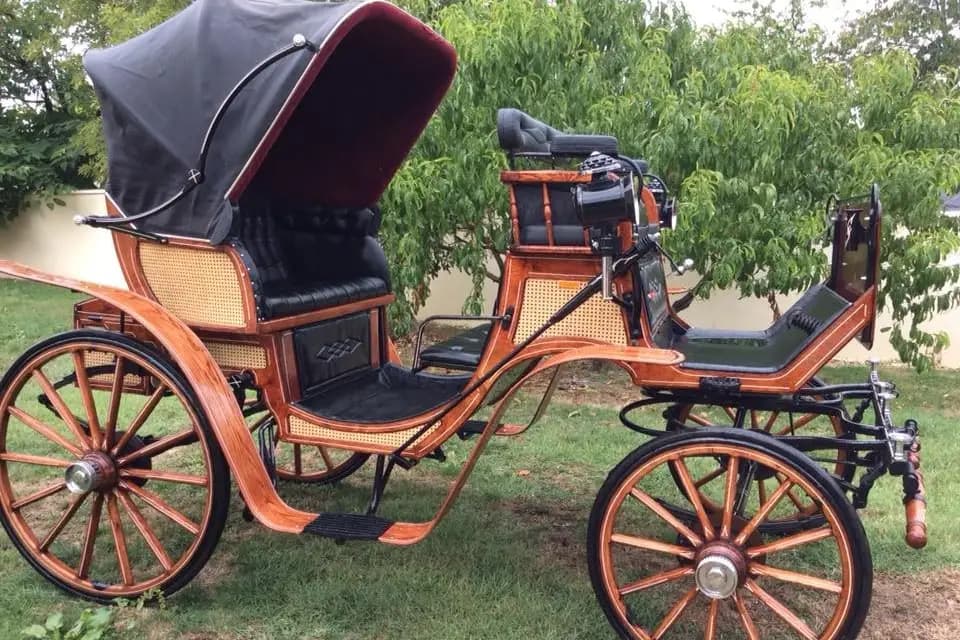 Les calèches de Marine — photo 1