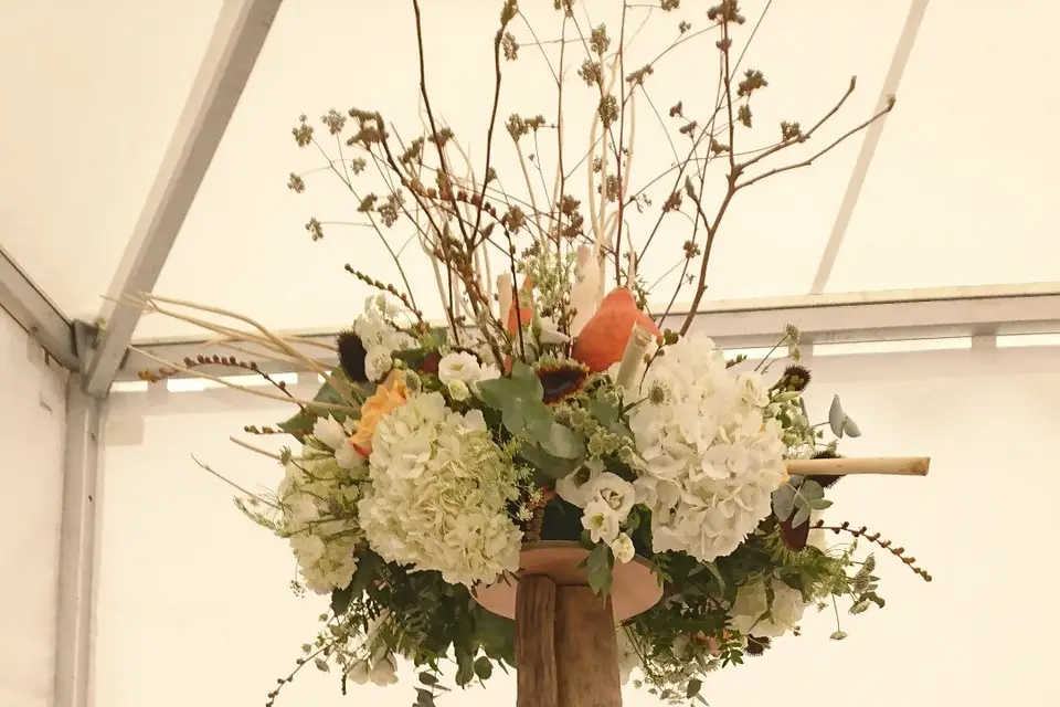 Solignat Traiteur — photo 7