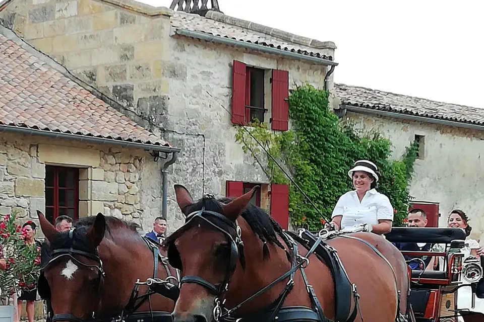 Les calèches de Marine — photo 4
