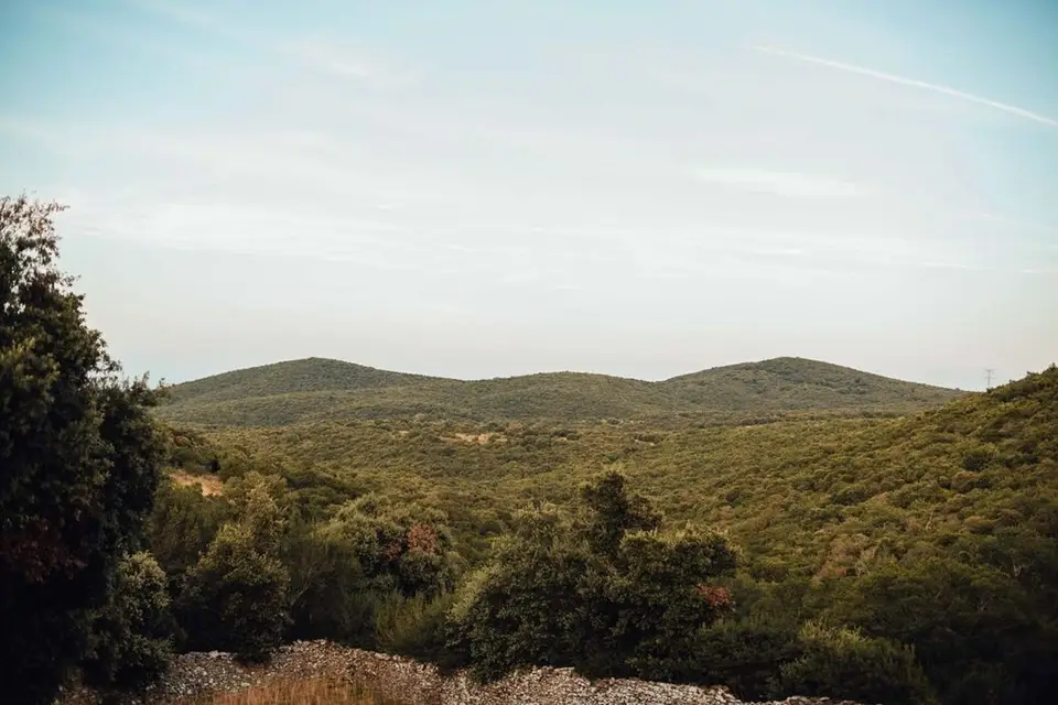 Château Bas d'Aumelas — photo 4