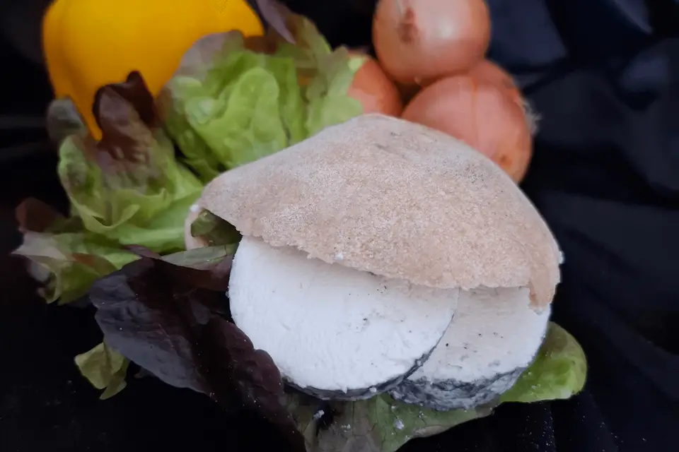 Le Croquinou — photo 6