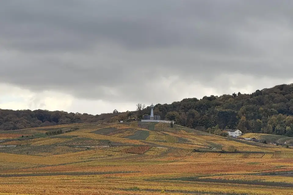 Epicure Experiences — photo 5