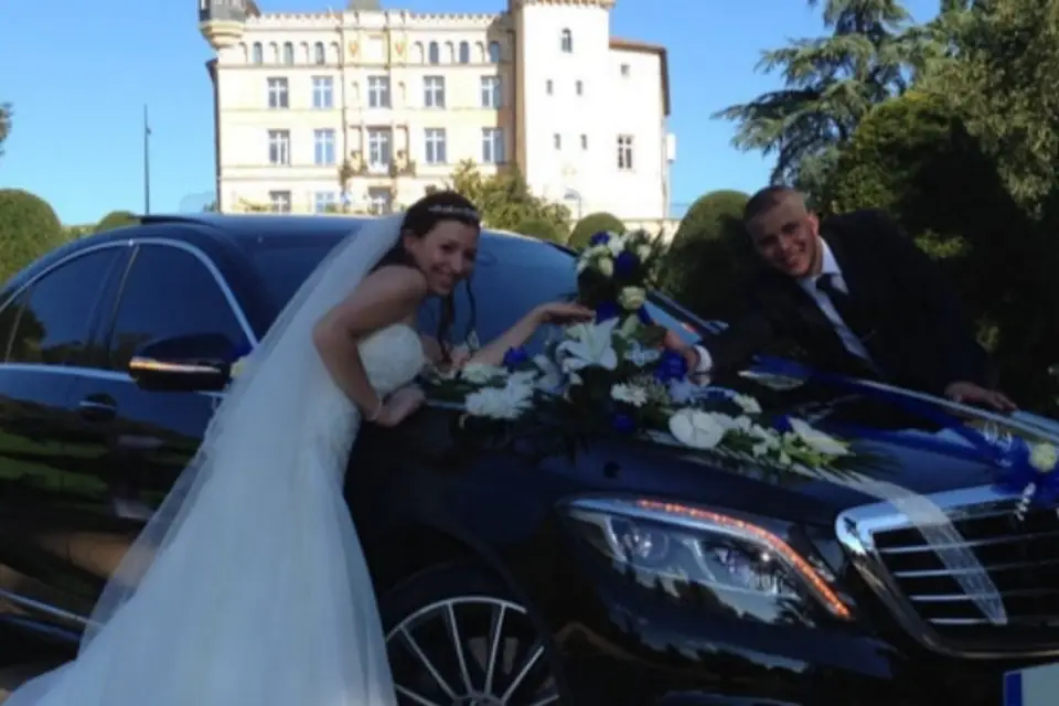 Tony Transport — photo 7