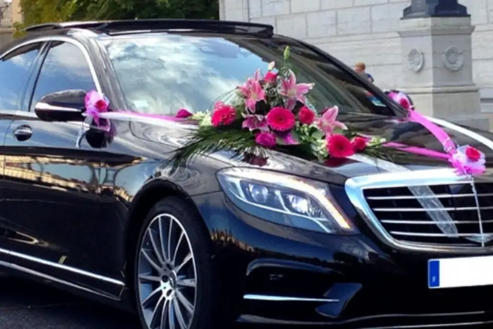 Tony Transport — photo 8