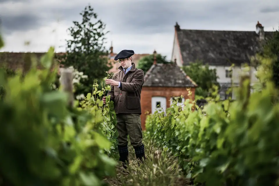 Domaine Armand Heitz — photo 4