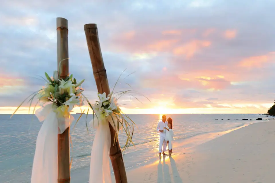 Adrilines — photo 3