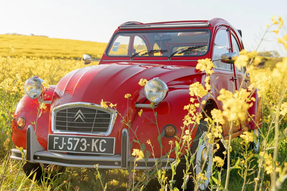 Les bolides de Tata — photo 7