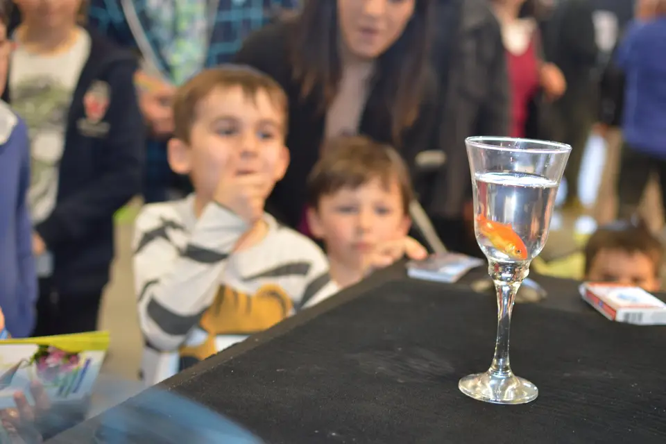 Frank Veyrine - Magicien Illusionniste — photo 5