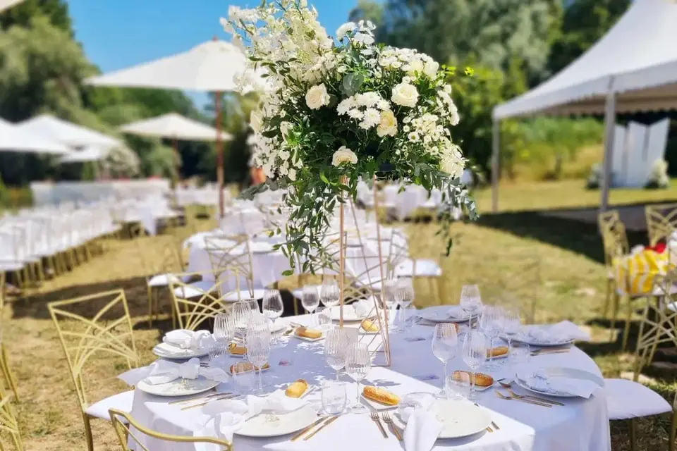 Vaisselle Récéption — photo 1