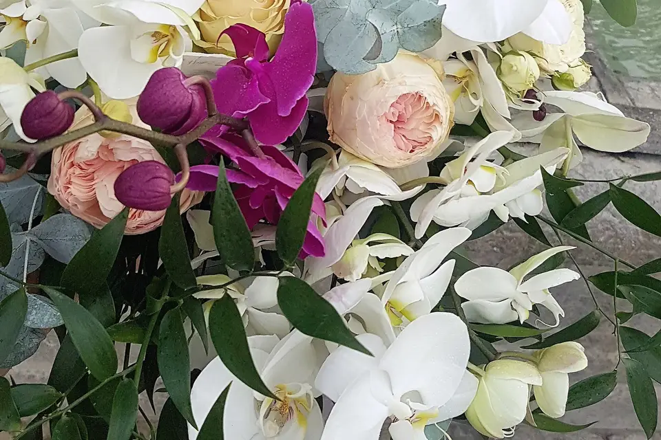 Les Années Fleurs — photo 3