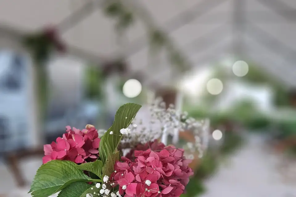 Alexandre Aubert — photo 2