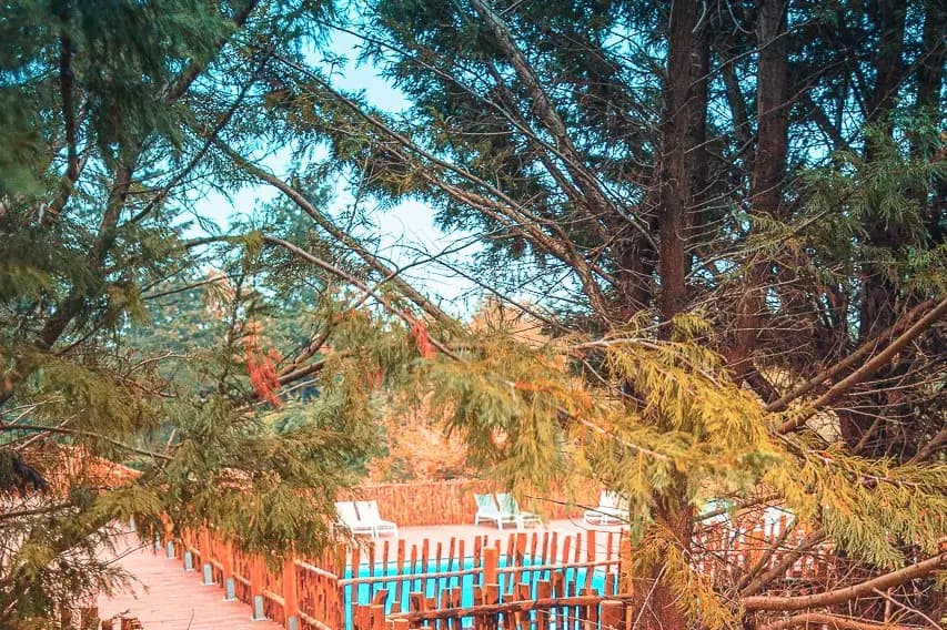 Domaine de la Vitarelle — photo 7