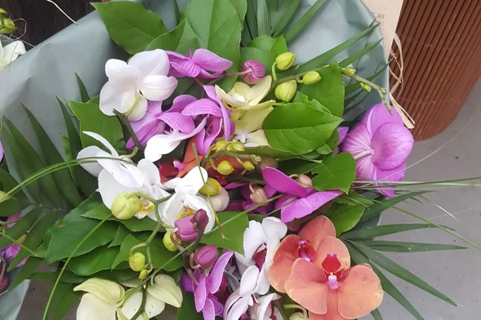 La Fée Fleur — photo 3