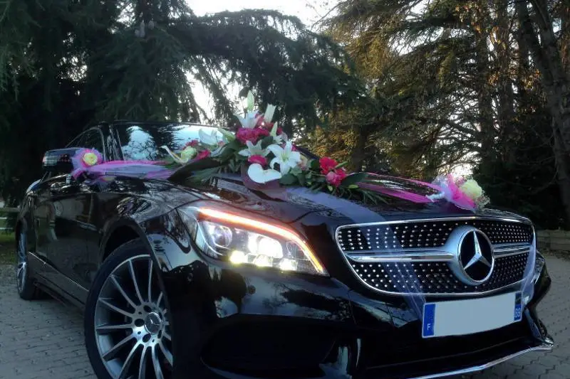 TwoNine Transport — photo 3