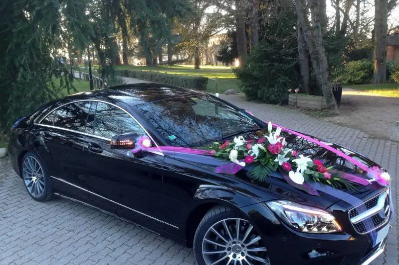 TwoNine Transport — photo 4