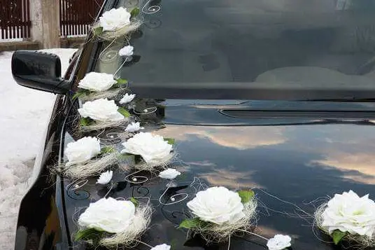 TwoNine Transport — photo 2