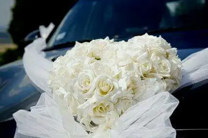 TwoNine Transport — photo 1