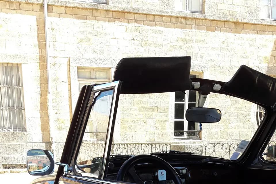 Cathy De Freitas — photo 7