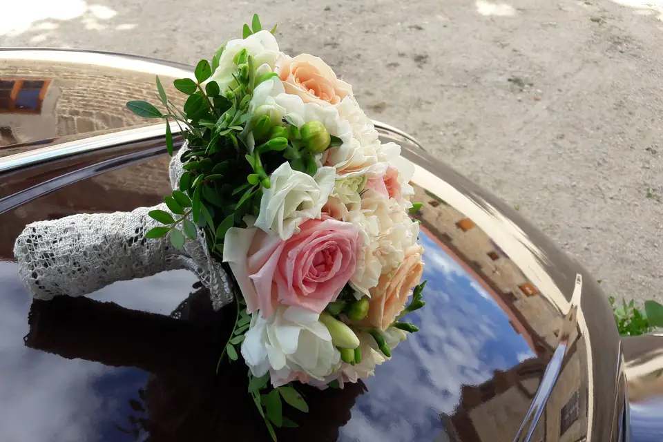 Cathy De Freitas — photo 4