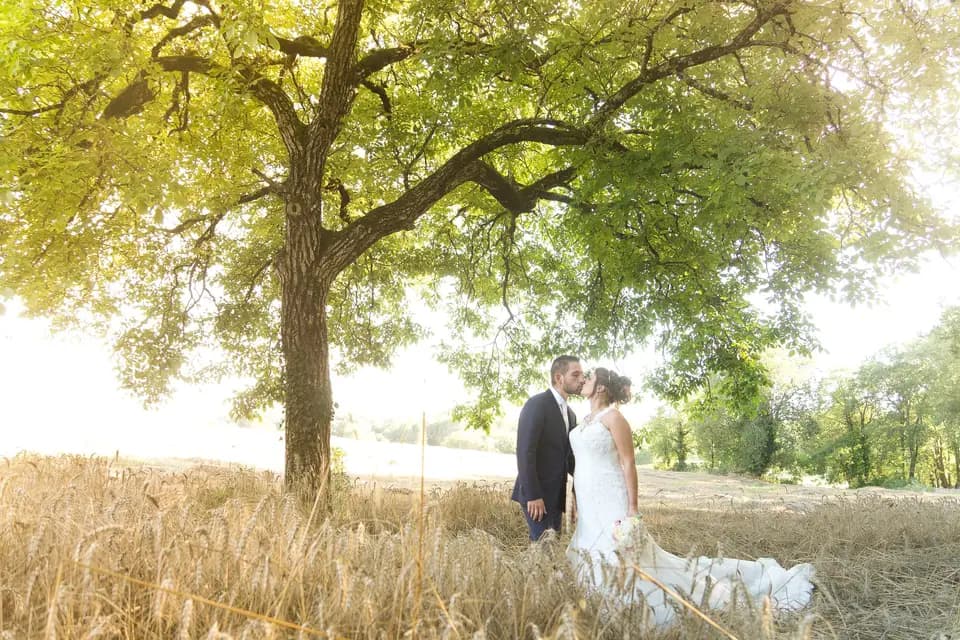 Lastimages Stéphane Laville — photo 4