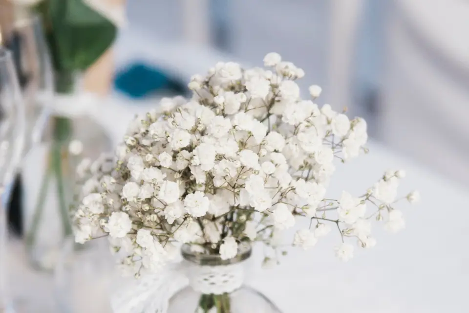 Lisa Dolley Photographie — photo 3