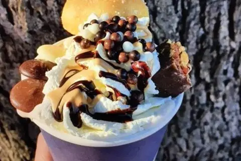 Cook Truck — photo 4