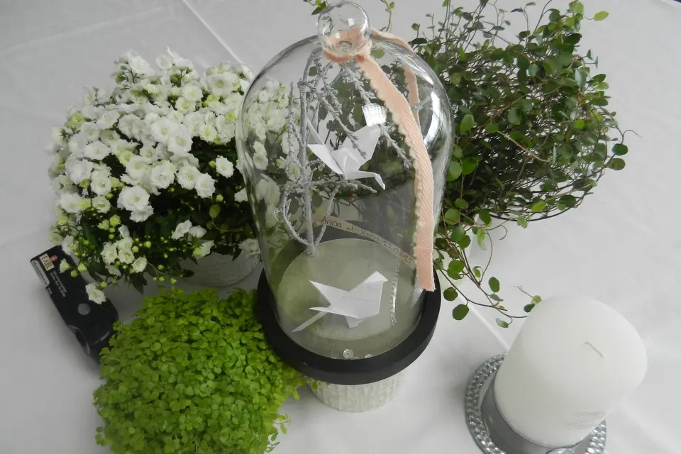 La Baie des Anges — photo 7